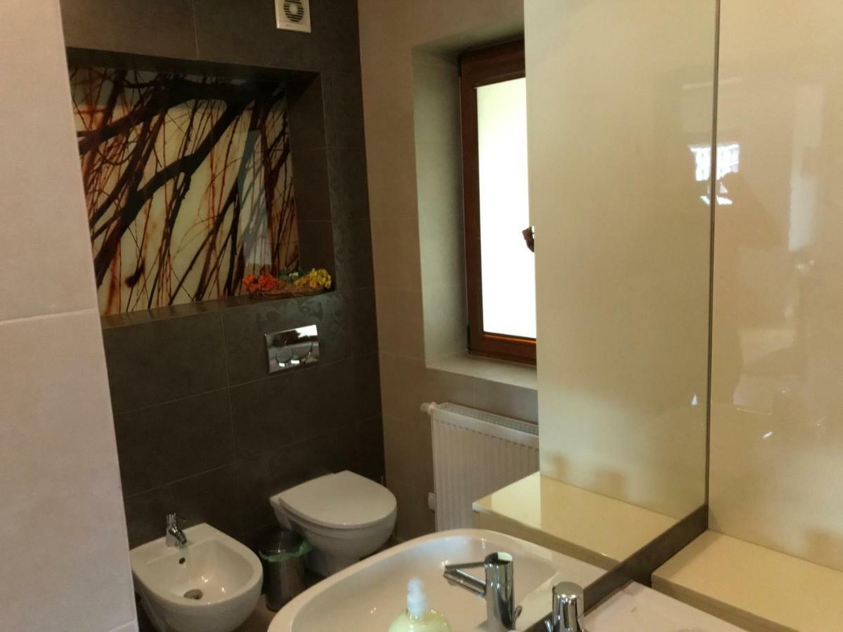 Bystra Woda Apartament Sloneczny ザコパネ エクステリア 写真